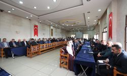 Mardin Valisi Akkoyun Derik'te mahalle muhtarlarıyla istişare toplantısı düzenledi