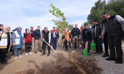 Mardin'de fidanlar toprakla buluşturuldu