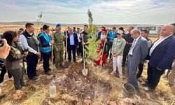 Midyat'ta fidanlar toprakla buluşturuldu
