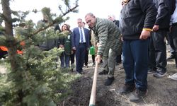 Erzurum ve çevre illerde fidanlar toprakla buluşturuldu