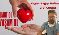 "Evet" Demek, Bir Cana Can Katmaktır