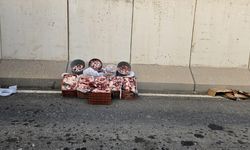 Şanlıurfa'da 1 ton kaçak et ele geçirildi