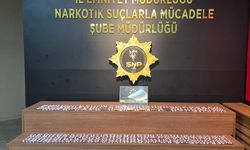 Şanlıurfa'da 2 bin 240 sentetik hap ele geçirildi