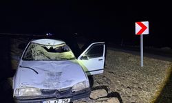 Şanlıurfa'da eşeğe çarpan otomobilin sürücüsü yaralandı