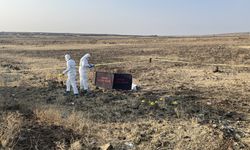 Siverek-Adıyaman karayolunda erkek cesedi bulundu