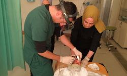 Prematüre bebeklere ROP muayenesi Siirt'te başladı