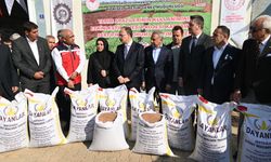 Siirt'te 588 üreticiye yüzde 75 hibe desteğiyle kırmızı mercimek tohumu dağıtıldı