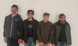 Siirt'te durdurulan minibüste sahte pasaportla 4 düzensiz göçmen yakalandı