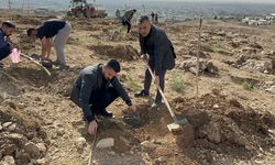 Silopi'de fidanlar toprakla buluştu