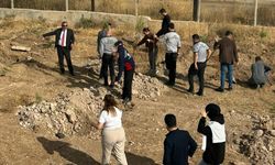 Şırnak Şerafettin Elçi Havalimanında fidan dikildi