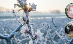 TARSİM Ekimde 11,6 Milyar Lira Ödedi