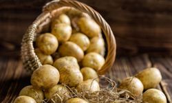 Ticaret Bakanlığı'ndan patates fiyatı açıklaması: '25 Liraya satıldığı' iddiası yanlış