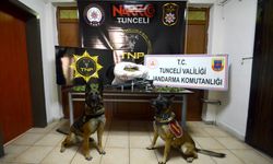 Tunceli'de Narkotik operasyonunda 2 şüpheli yakalandı