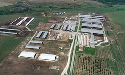 Türkgeldi Tarım İşletmesi'ne Personel Alınacak