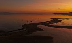 Van Gölündeki flamingolar dronla görüntülendi