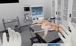 Veteriner Laboratuvarlarına Yeni Düzenleme