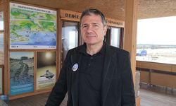 Yaralı Caretta caretta tedavisinin ardından Antalya'da denize bırakıldı