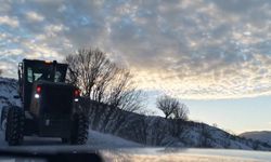 Adıyaman'da da karla mücadele başladı