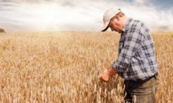 Çiftçiler Dikkat, ÇKS Başvurusu 31 Aralık'ta Bitiyor
