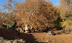 Zeynel Abidin Türbesi kış günlerinde yoğun ilgi gördü