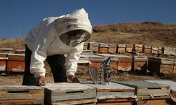 Adıyaman'da bu sezon yaklaşık 650 ton bal üretildi