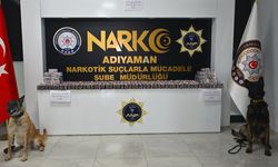 Adıyaman'da güvenliğe yönelik denetimler artırıldı