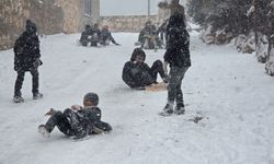 Kar tatilini fırsata çeviren çocuklar sokaklara koştu