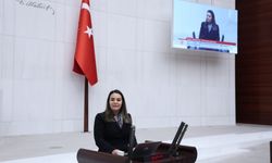 Ayyüce Türkeş'ten Erkan Akçay'a sert tepki