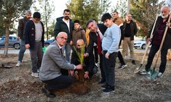 Batman Üniversitesi'nde 3 Aralık Engelliler Günü etkinliği