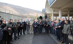 Batman'da 40 üreticiye 5 bin zeytin fidanı dağıtıldı