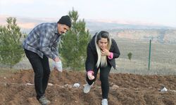 Batman'da deneme amaçlı aspir bitkisinin ekimi yapıldı
