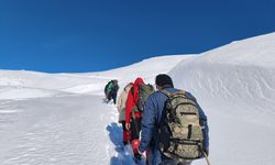 Batman'da doğaseverler karla kaplı Harrut Yaylası'na tırmandı
