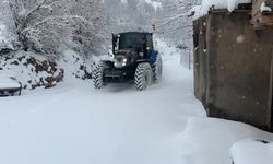 Batman'da karla mücadele çalışmaları sürüyor