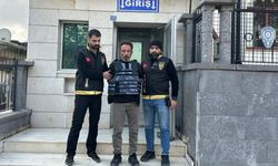 Besni'de eşi ve bacanağını öldüren zanlı tutuklandı