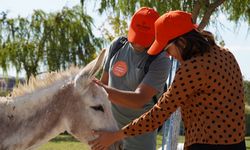 Borusan’dan Gençlere İlham Veren ‘Okyanus Kampüsü