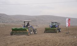 Çankırı'da çiftçiler 800 hektarda kuraklığa dayanıklı sertifikalı tohum deniyor