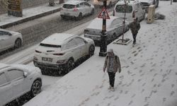 Cizre'de kar yağışı etkili oldu