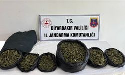 Diyarbakır'da uyuşturucu operasyonlarında 29 şüpheli hakkında işlem yapıldı