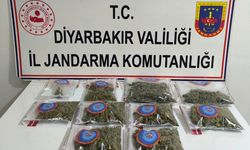 Diyarbakır'da 25 kilogram esrar ele geçirildi