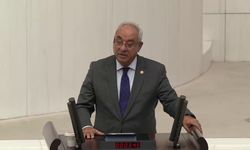 DSP'den Milli Birlik, Dayanışma ve Demokrasi Raporu