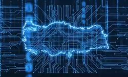 24 ilde siber suç operasyonu: 204 şüpheli yakalandı