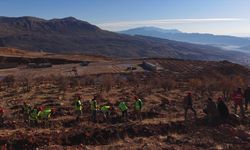 Şırnak Gabar'da fidan dikim seferberliği başlatıldı