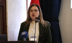 Gaziantep'te 'Sarsıntının Ardından: Aile Dayanışma ve Yeniden Kuruluş Çalıştayı' düzenlendi