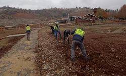 Gölbaşı Doğa Park’ına Fidan Dikildi