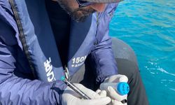 En çok mikroplastik Bozburun'da tespit edildi