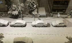 Şanlıurfa'da 164 Kırsal Mahallenin Yolu Kapandı