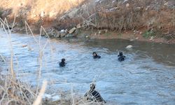 Şanlıurfa’da Kayıp Sürücü Aramalarına Ara Verildi