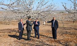 Güneydoğu’nun Fıstık Üreticileri Diyarbakır’da Buluştu