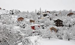 Yurttan Kar Manzaraları Beyaza Bürüdü