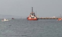 Karadeniz'de ayçiçek yüklü gemiye saldırı